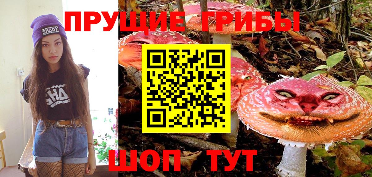 Псилоцибиновые грибы прущие грибы  Вход с VPN  Котельники 